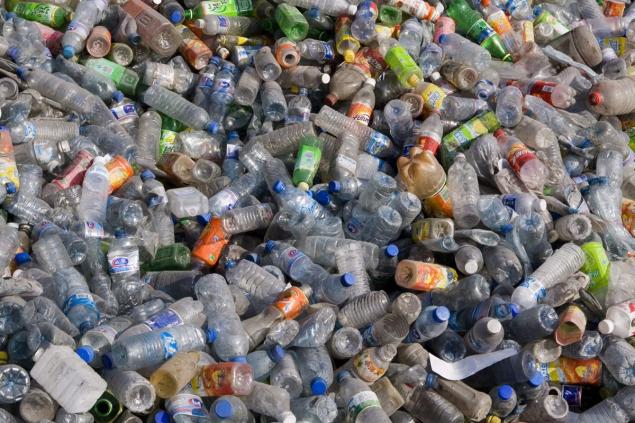 scientistsdiscoverplasticeatingbacteria